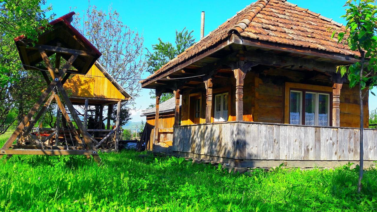 Pensiunea Ilea Ieud Buitenkant foto